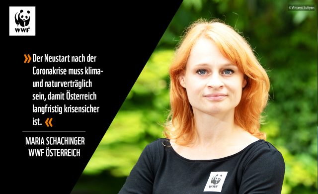 Maria Schachinger, WWF Österreich