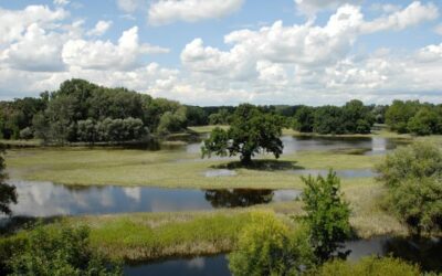 WWF fordert Bodenschutz und Renaturierungen gegen Hochwasserrisiko