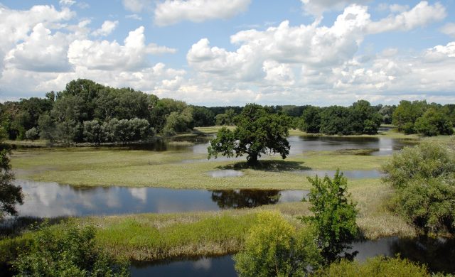 WWF fordert Bodenschutz und Renaturierungen gegen Hochwasserrisiko