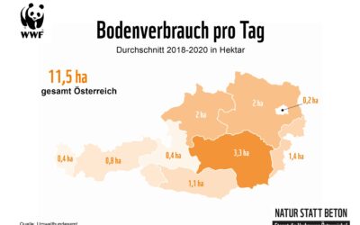 Neuer WWF-Report zeigt enormen Flächenfraß der Bundesländer